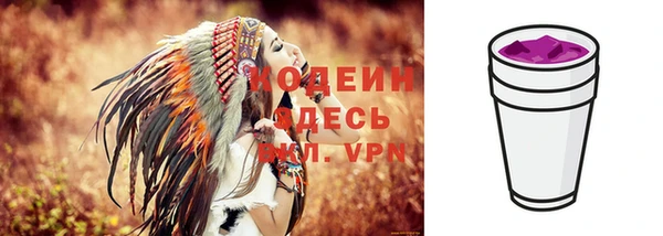 бошки Бородино