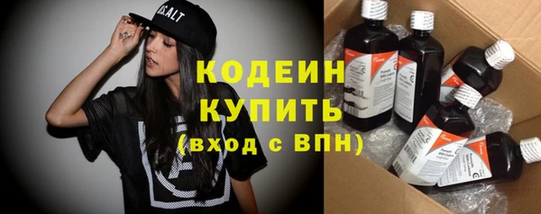 бошки Бородино