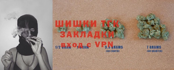 бошки Бородино
