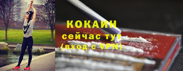 бошки Бородино